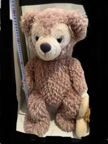 더피 셰리메이 세트 디즈니씨 택 포함 미사용 새상품