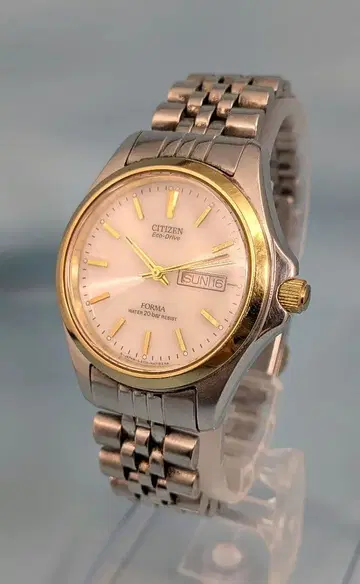 CITIZEN 에코 드라이브 솔라 E100 H26744 데이데이트