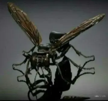 미개봉 새상품 생물대도감 어드밴스 말벌02 메가라라 가루다