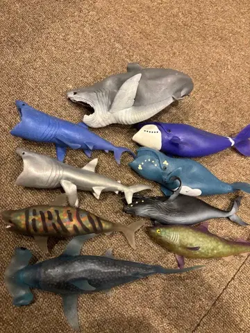 팔릴 때까지 가격 인하 ] 고래 상어 등 일괄 9개 데아고스티니 안도코