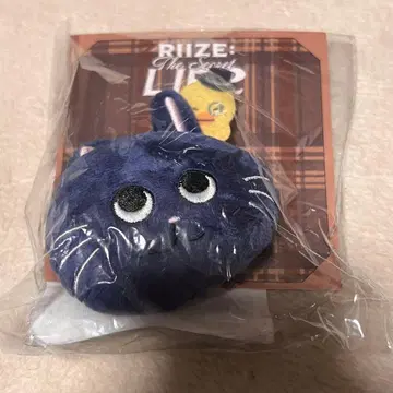 Riize 원빈 인형 배지 토냥덕 트레이딩 카드 미개봉