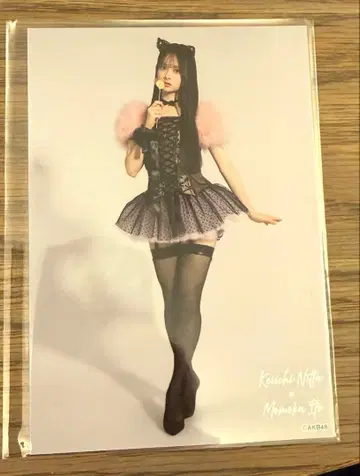 이토 모모카 AKB48 다이마루 도쿄 대의상전 샴고양이 브로마이드