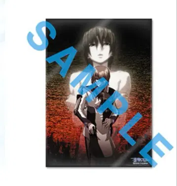 소라의 날개 HEAVEN AND EARTH 아크릴 보드 A