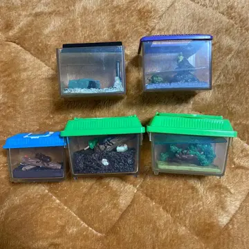 유진 즐거운, 사육 당번 묶음 판매 5세트