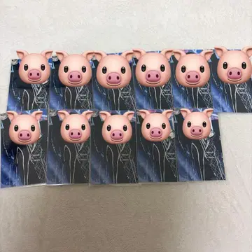 포켓몬 카드 맨 실사 폴라로이드