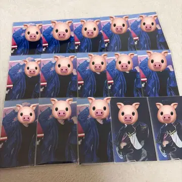 포켓몬 카드 멘 실사 폴라로이드