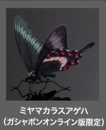 생물대도감 미야마카라스아게하