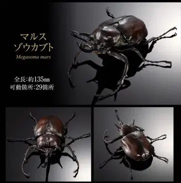 생물대도감 마르스장수풍뎅이