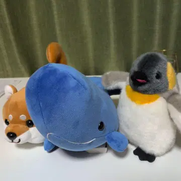 시바견 고래 펭귄 봉제 인형 세트