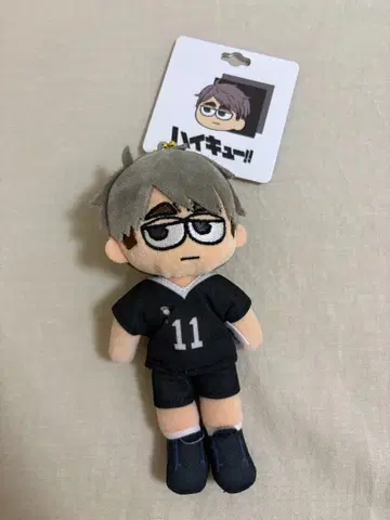 미야 오사무 하이큐 지로리