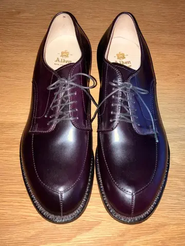 미사용 ALDEN 54321 US9.5D 알든 V 칩 코도반