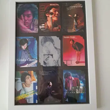 오자키 유타카 프레임 트레이딩 D