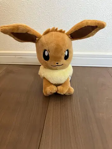 선착순 포켓몬 센터 이브이 봉제 인형