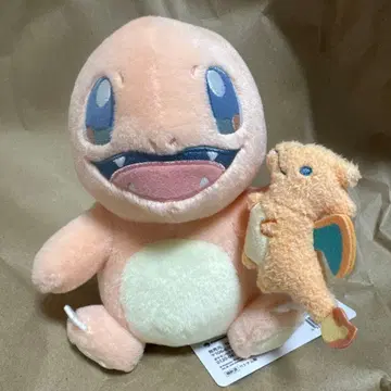 포켓몬 Little Daydream 파이리와 리자몽 봉제 인형