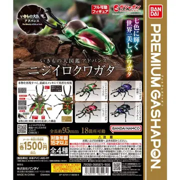 생물대도감 어드밴스 무지개 사슴벌레 컴프