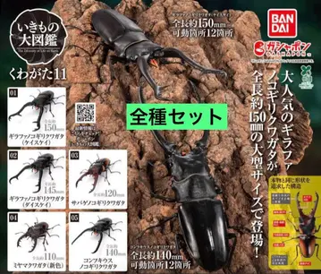 생물대도감 사슴벌레 11 전 5종 컴플리트 세트 컴프 전종 6