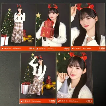 노기자카46 카와사키 사쿠라 크리스마스 2025 브로마이드