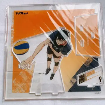 하이큐 극장판 액션 비주얼 아크릴 스탠드 카게야마 토비오