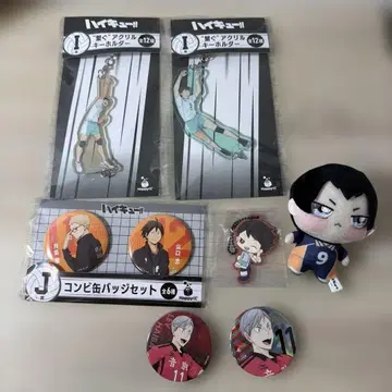 18 하이큐 캔뱃지 마스코트 아크릴 키링