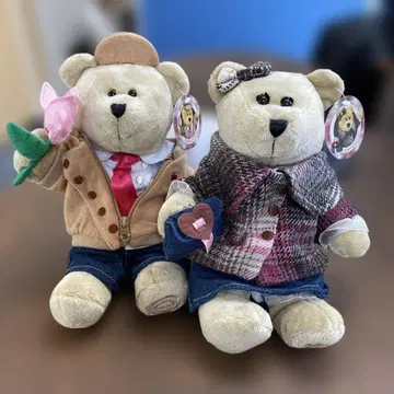 [레어] 스타벅스 커피 캐주얼 곰 봉제 인형 2체 세트