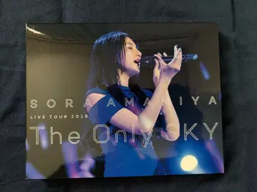 소라 아마미야 라이브 투어 2018 더 온리 스카이