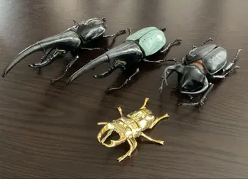 곤충 피규어 헤라클레스 장수풍뎅이 코카서스 장수풍뎅이 넓적사슴벌레