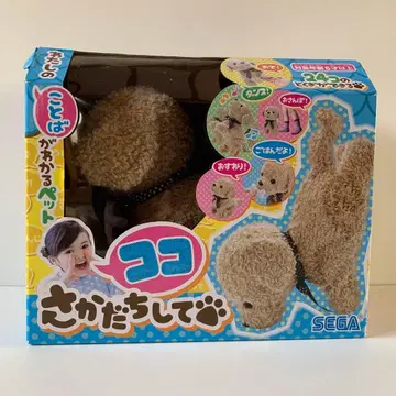 코코 거꾸로 서다 애프리콧 세가토이즈