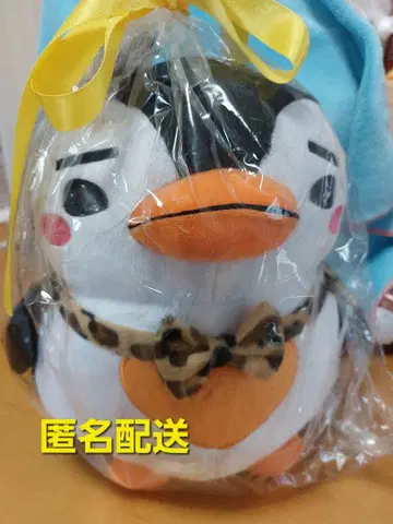 [ 미개봉 미사용 ] 2PM 준호 펭귄 봉제 인형