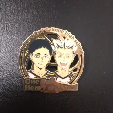 하이큐!! 카라스노 고교 핀 배지