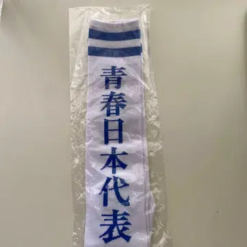 미사용 새로운 학교의 리더즈 청춘 일본 대표 양말 삭스 M 사이즈