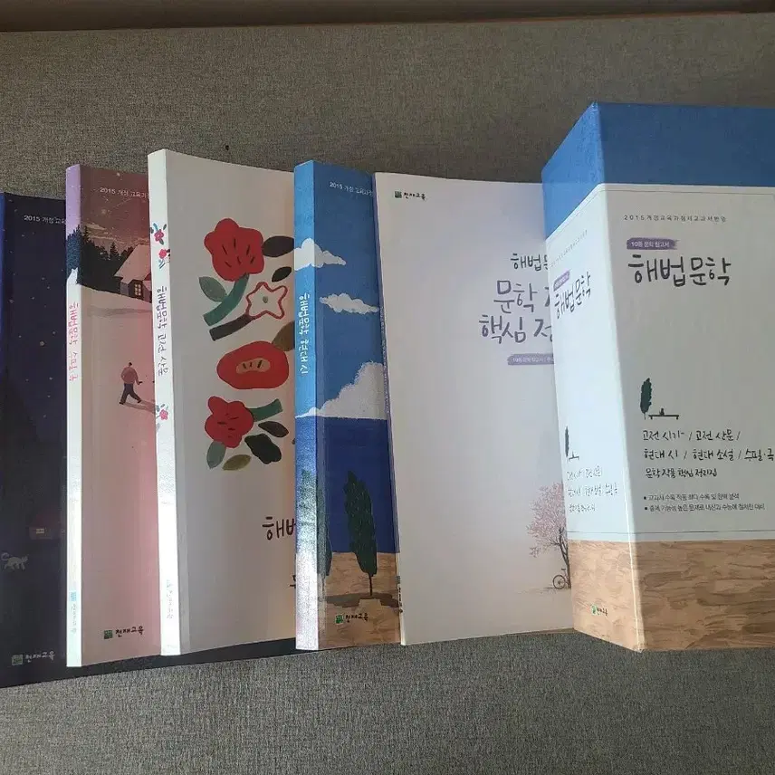 天才教育解法文学参考書セット
