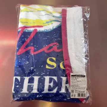 서던 올스타즈 라이브 투어 2025 Thank You So Much 타월