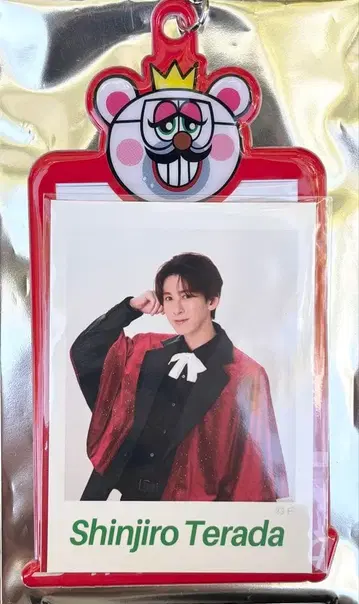 SHOW-WA 테라다 신지로 랜덤 포토 카드 포함 폴더 포카포카