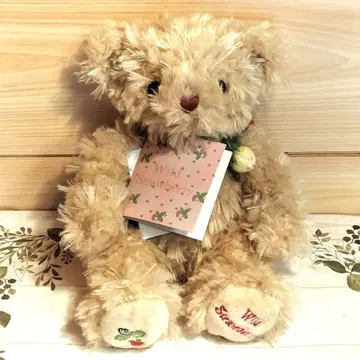 테이크오프 take off 곰 테디 와일드 스트로베리 봉제 인형