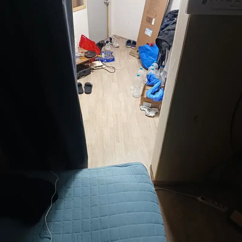 급하게 집에서 나온 바퀴벌레 잡아주실분 계시나요