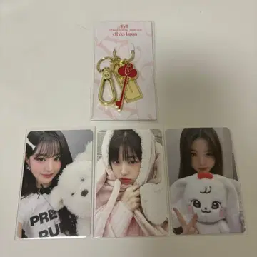 아이브 원영 포토카드 세트