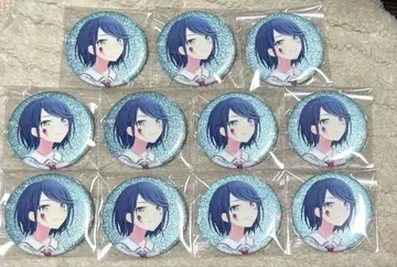 프로세카 호시노 이치카 3B 11개