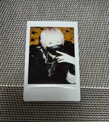 AVAM 길경꽃향 폴라로이드 세트