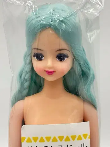 율리시아 리카짱 캐슬 오타노시미 인형 스카이블루 헤어 제니 프렌드