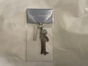 seventeen DxS [ Serenade ] POP-UP 키링