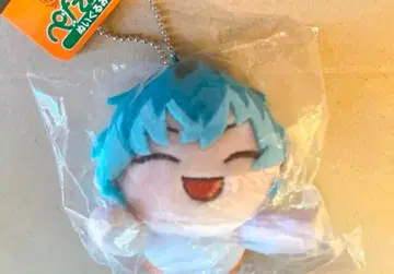 히프노시스 마이크 페타린즈 시라카미 사사라