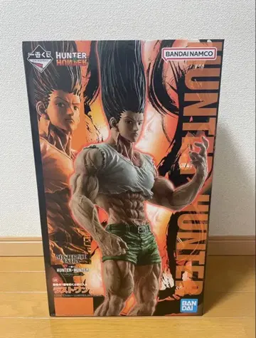 HUNTER x HUNTER 곤 라스트 원