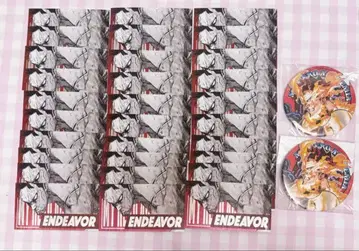 나의 히어로 아카데미아 히로아카 엔데버 토도로키 엔지