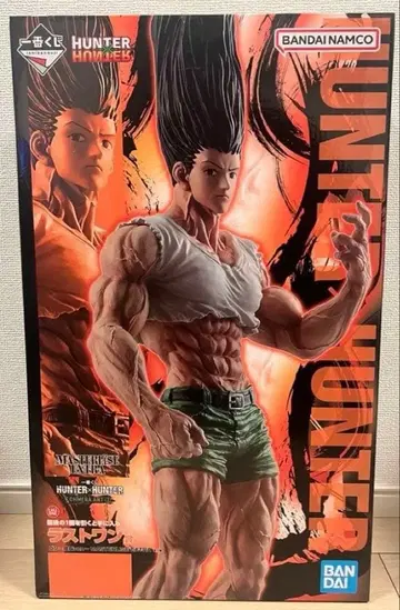 HUNTER x HUNTER 곤 MASTERLISE EXTRA 라스트 원
