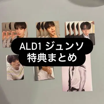 ald1 준 포토카드 특전 모음