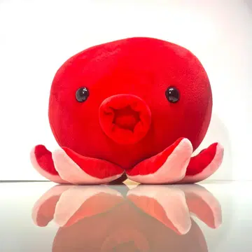 문어 / 봉제 인형 / 빨간색 / 옥토퍼스 / 소프트 내추럴 / 푸티마린