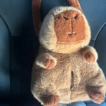 카피바라 봉제 인형 티슈 케이스