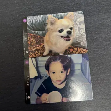 초특급 료가 티아라 트레이딩 카드