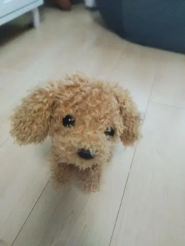 사랑하는 강아지 모카 봉제 인형