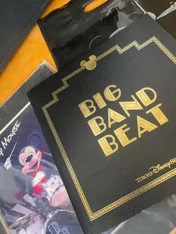 디즈니씨 빅밴드 비트 팜플렛 스타 사진